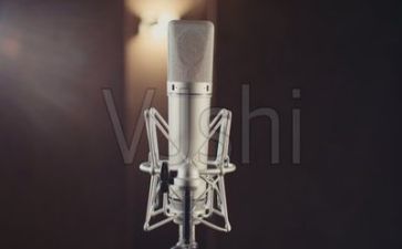 演讲稿的作文300字6篇