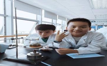 实验员个人总结6篇