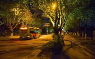 平安夜送苹果活动方案6篇
