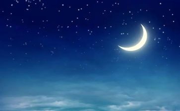 熬夜现象调查报告8篇