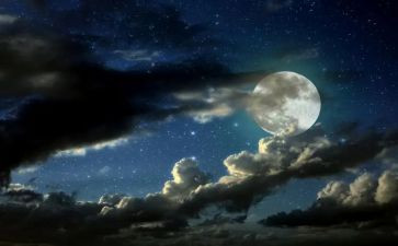 故乡的夜作文通用8篇