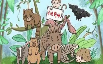 饮食健康拒绝野味演讲稿8篇