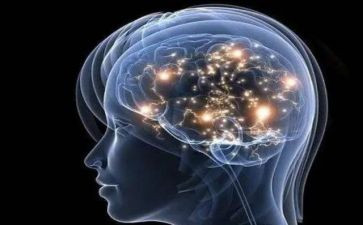 抓意识形态述职报告最新7篇