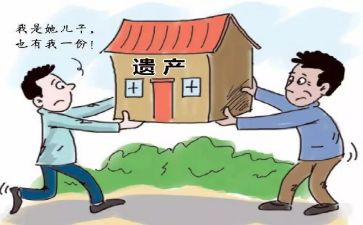 遗嘱与狗的读后感7篇