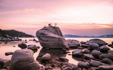 幽默的语文老师作文5篇