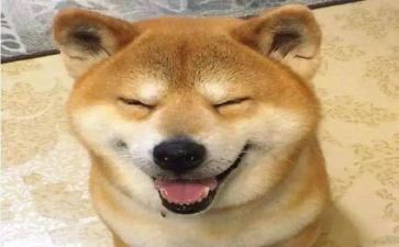 大班有趣的事教案优秀7篇