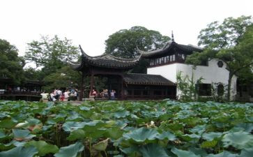 2024年幼儿园元旦游园活动总结8篇