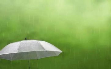 突然下暴雨作文7篇