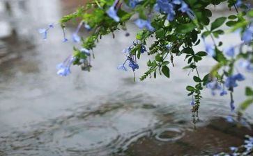 雨秋天的作文精选7篇