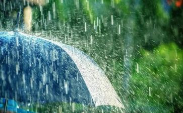 《雨后》作文6篇