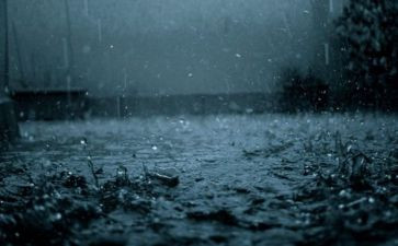 听雨教案通用6篇