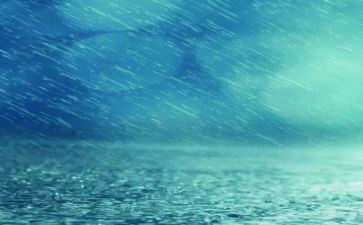 秋雨优秀作文8篇