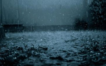 小英雄雨来心得体会精选5篇
