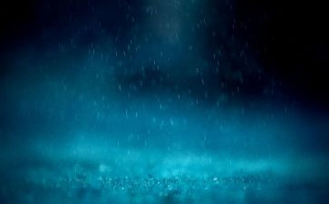 大班语言春天的雨教案5篇