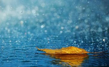 关于小英雄雨来的心得体会8篇