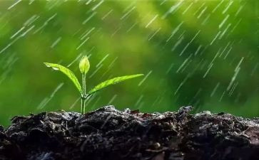 幼儿园大班《雨》教案8篇