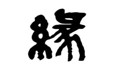 与结缘作文5篇