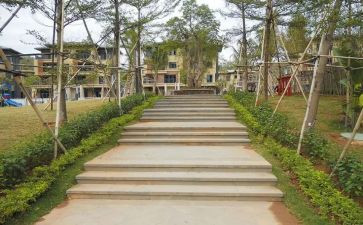 园建技术员工作总结通用7篇