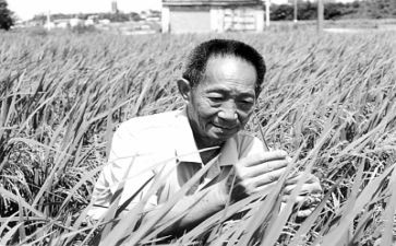 袁隆平的作文优质8篇