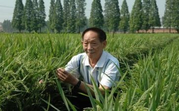 袁隆平的作文推荐5篇