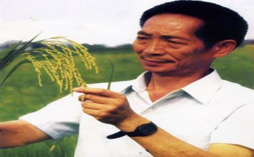 赞袁隆平的作文模板6篇