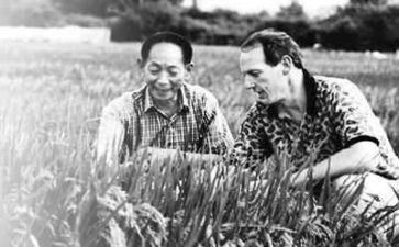 关于写袁隆平的演讲稿5篇