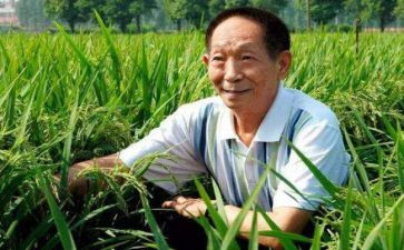 袁隆平的作文800字6篇