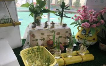 蒙氏幼儿园培训心得体会5篇
