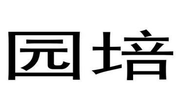 2024年幼儿园培训心得参考6篇