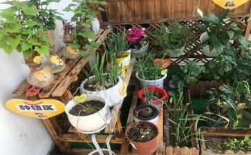 幼儿园培训英语心得体会8篇