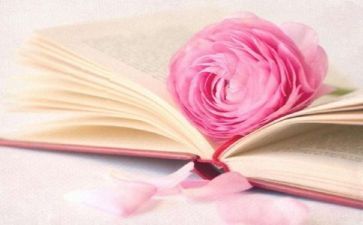 全阅读心得体会最新5篇