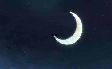 走月亮,读后感优质6篇