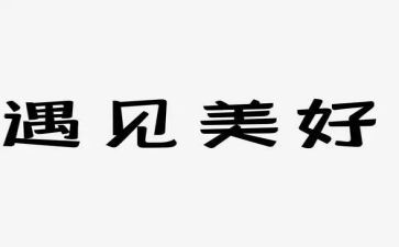 遇见羊读后感6篇
