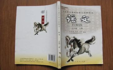 语文老师个人总结范文7篇