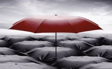 与众不同的___作文500字8篇