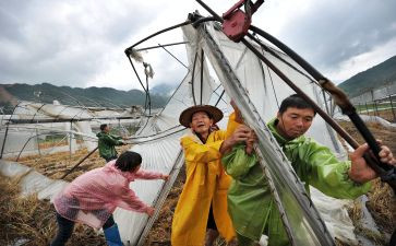 灾后困难补助申请书推荐6篇