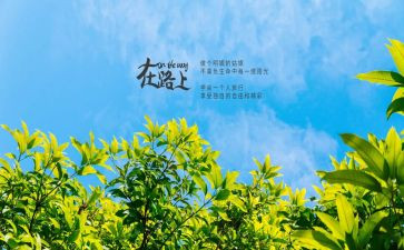 我走在路上作文优秀8篇