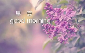 早教教学工作计划5篇