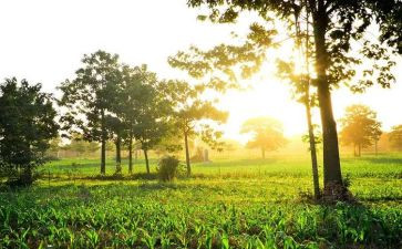 早教老师年工作总结8篇