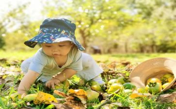 《摘果子》音乐教案8篇