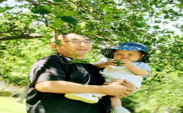 摘果子音乐课教案6篇