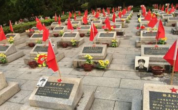 学习张从顺事迹心得体会优质5篇