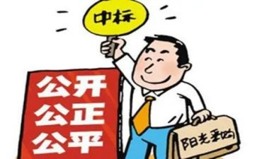 招标代理半年度总结7篇