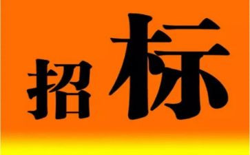 招标年终工作总结6篇
