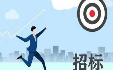 招标代理年度工作总结8篇