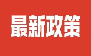 双减政策的班主任工作总结6篇