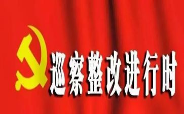 巡察反馈整改对照材料5篇
