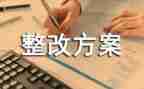 镇审计整改报告5篇