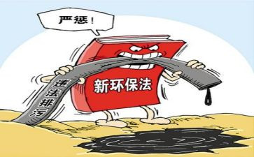 2023专项整治工作总结通用6篇