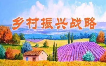 村乡村振兴专干工作总结6篇